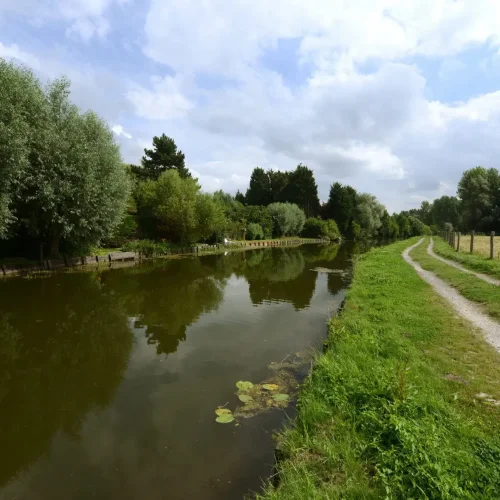 Wandern Sie in der Gegend von Saint-Omer