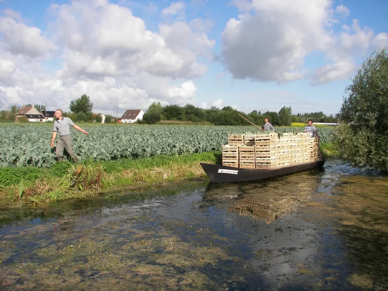 Discovering the know-how of market gardeners
