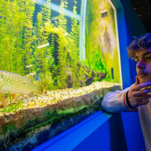 Aquariumtentoonstelling