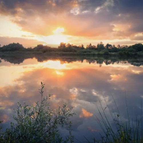 Wandern Sie in der Gegend von Saint-Omer